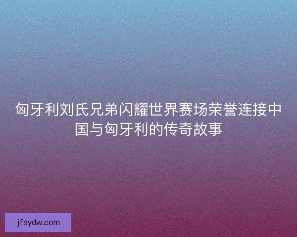 匈牙利刘氏兄弟闪耀世界赛场荣誉连接中国与匈牙利的传奇故事